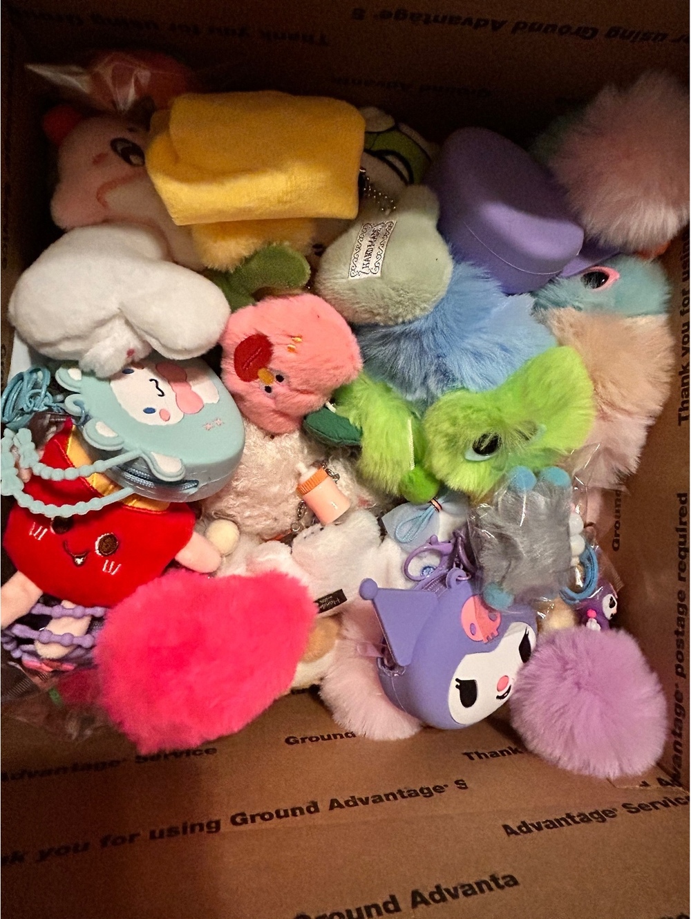 75 Assorted Plush Keychains - Colorful Soft Collectible Keychains
